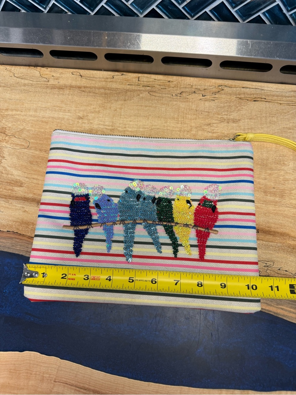Sequin Parrot Stripe Zip Pouch - Multicolor